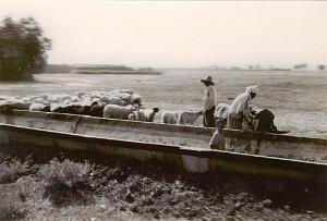 FERRY CANAL IRRIGATION